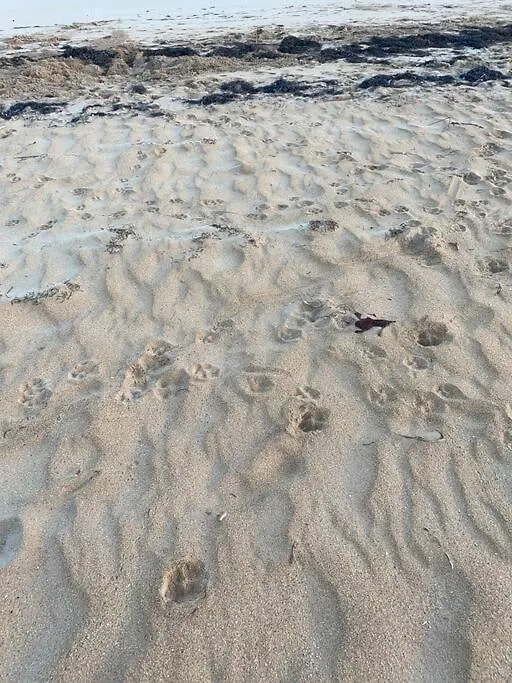 Las Terrenas Haven Apartmán